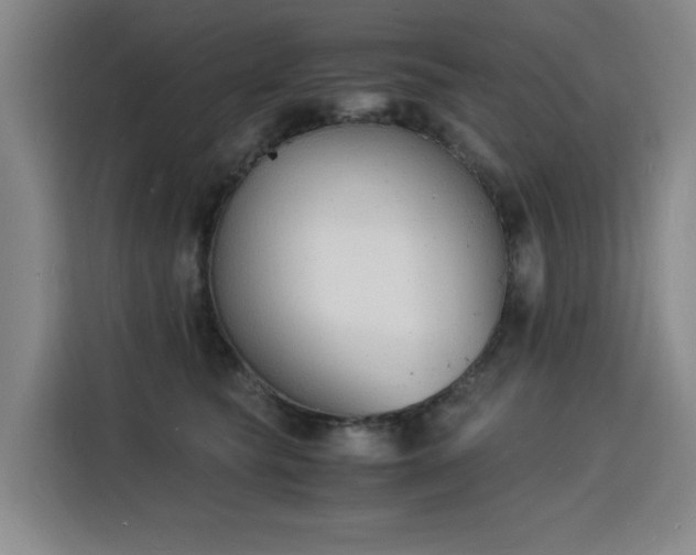 X0000115840565200911201555