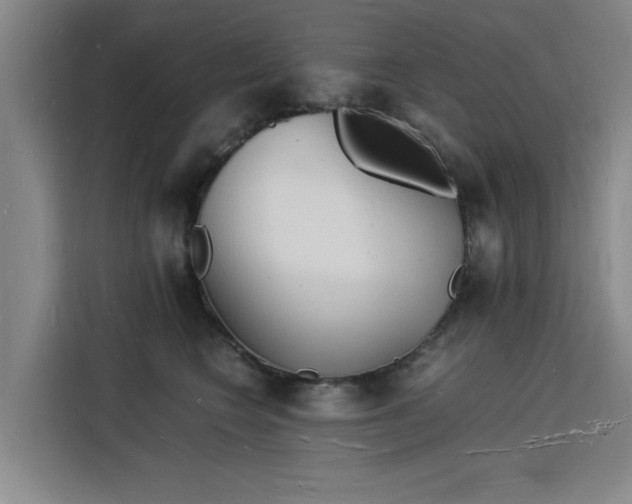 X0000115840566200911201555