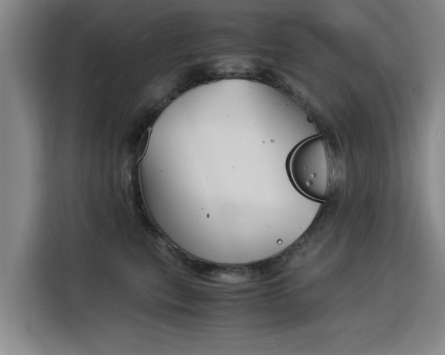 X0000115840567200911201555