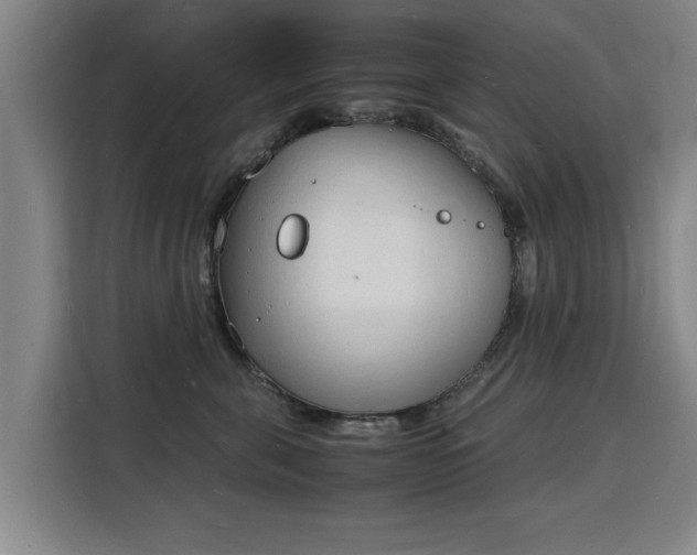 X0000115840571200911201555