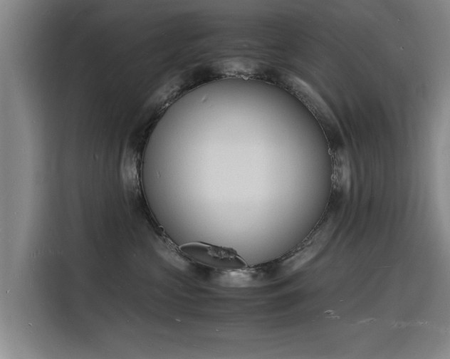 X0000115840573200911201555