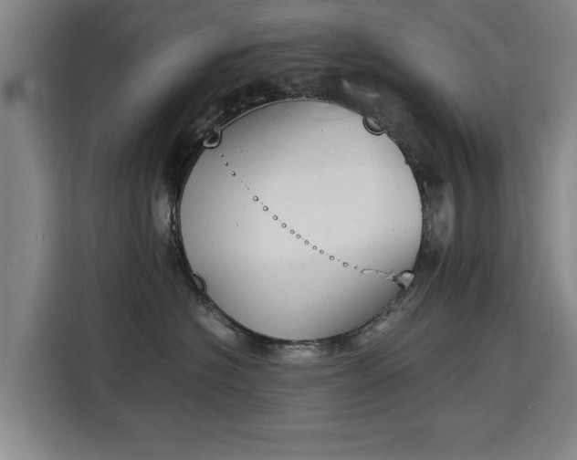 X0000115840574200911201555