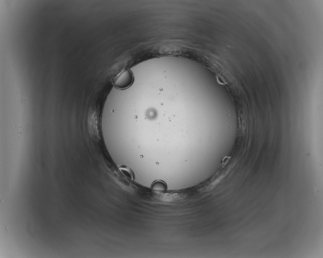 X0000115840575200911201555
