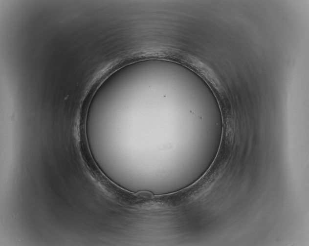 X0000115840578200911201554
