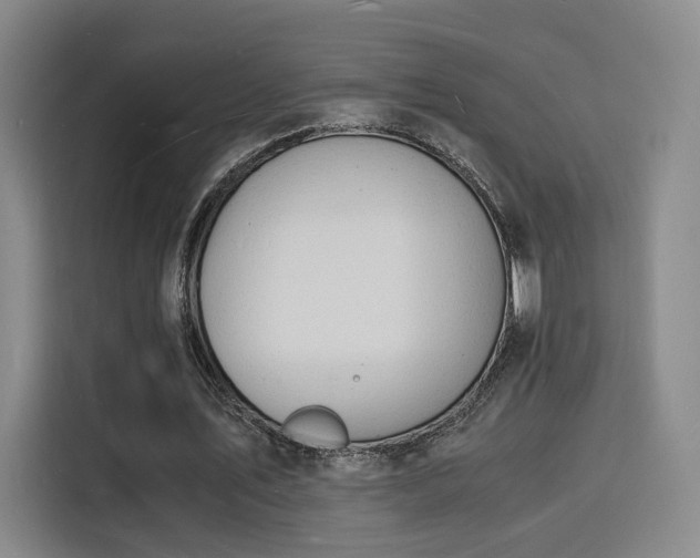 X0000115840579200911201554