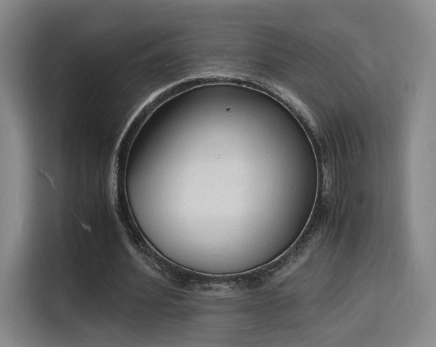 X0000115840580200911201554