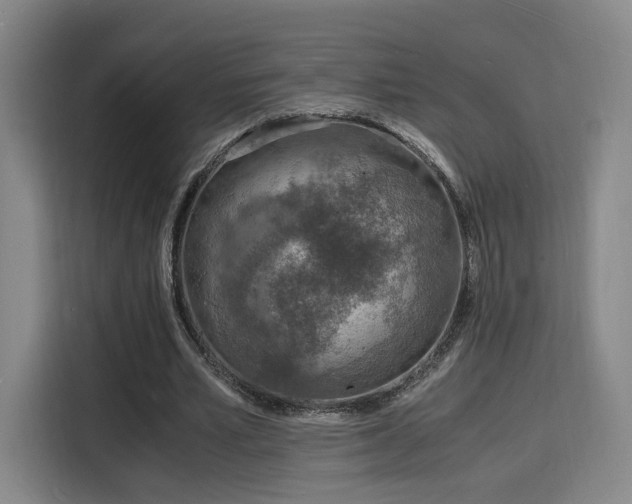 X0000115840581200911201554