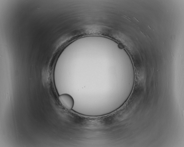 X0000115840583200911201554