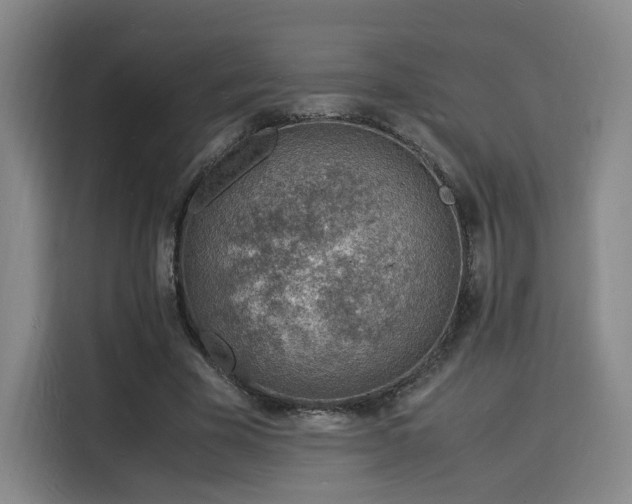 X0000115840585200911201554