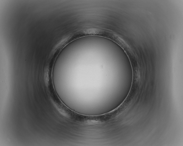 X0000115840586200911201554