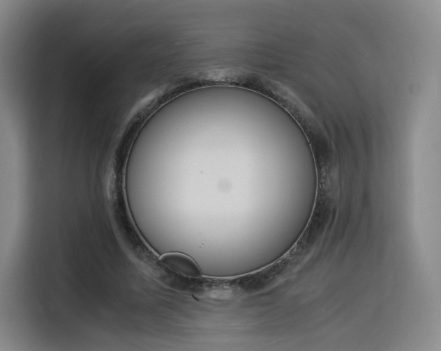 X0000115840587200911201554