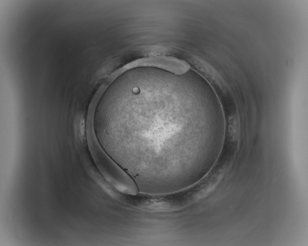 X0000115840589200911201554