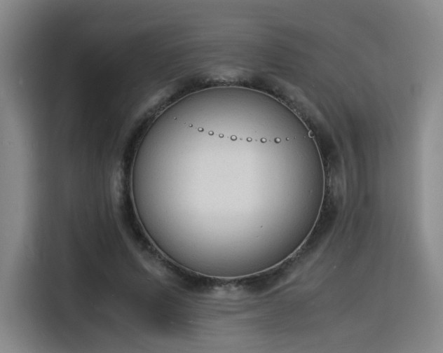 X0000115840591200911201554