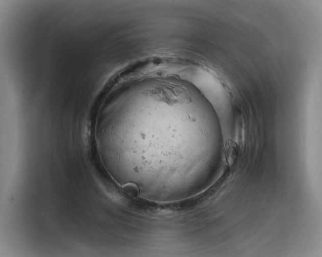 X0000115840592200911201554