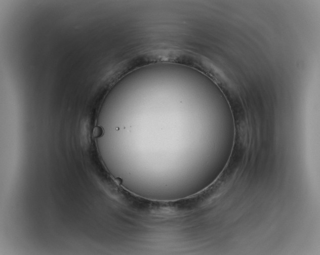 X0000115840594200911201554