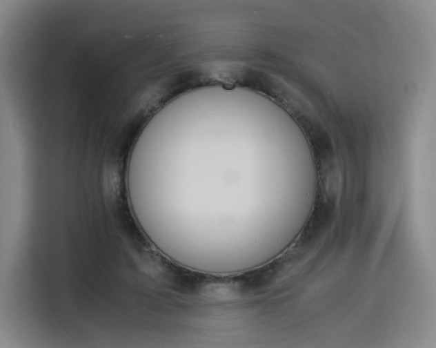 X0000115840595200911201554