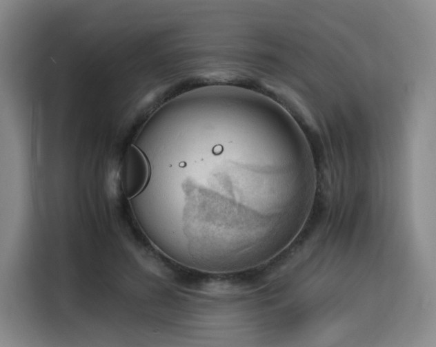 X0000115840596200911201554