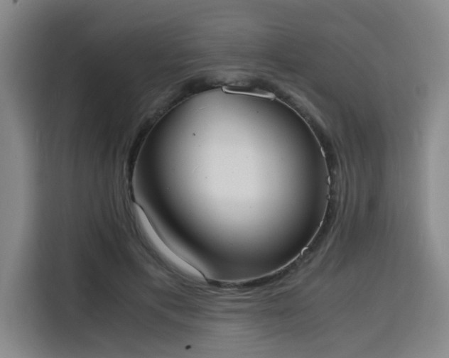 X0000115840597200911201554