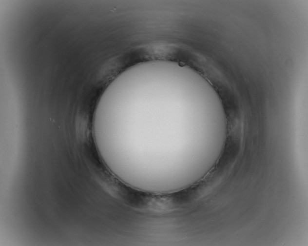 X0000115840599200911201554