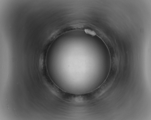 X0000115840600200911201554