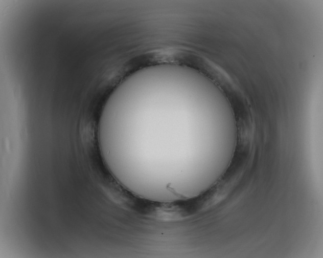 X0000115840603200911201554