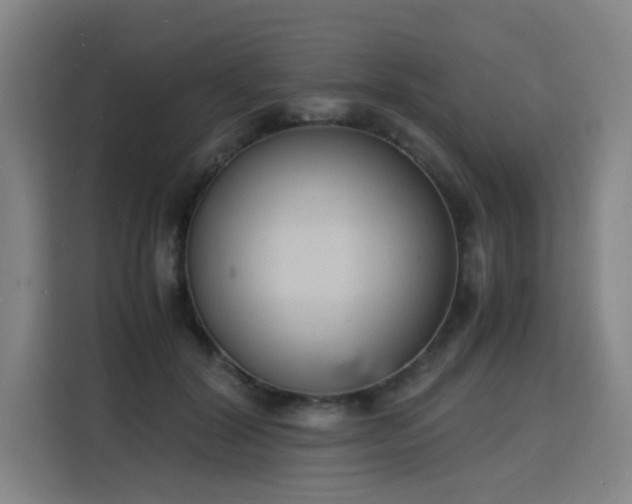 X0000115840604200911201554