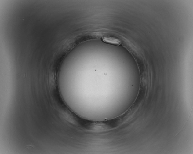 X0000115840605200911201554