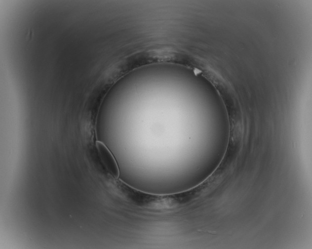 X0000115840609200911201554