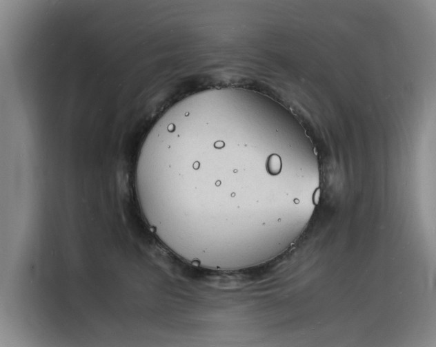 X0000115840615200911201554