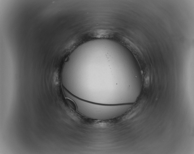 X0000115840620200911201554