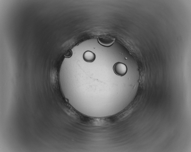 X0000115840623200911201554