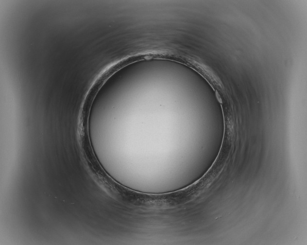 X0000115840628200911201553