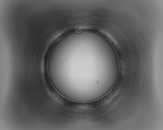 X0000115840631200911201553