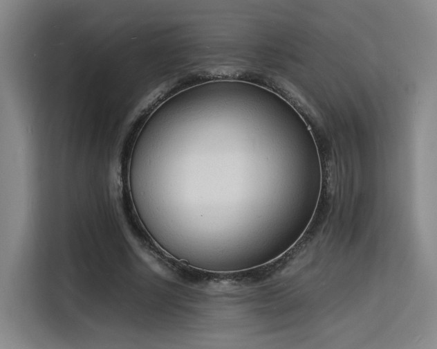 X0000115840634200911201553
