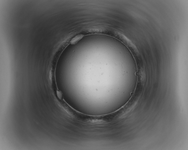X0000115840637200911201553