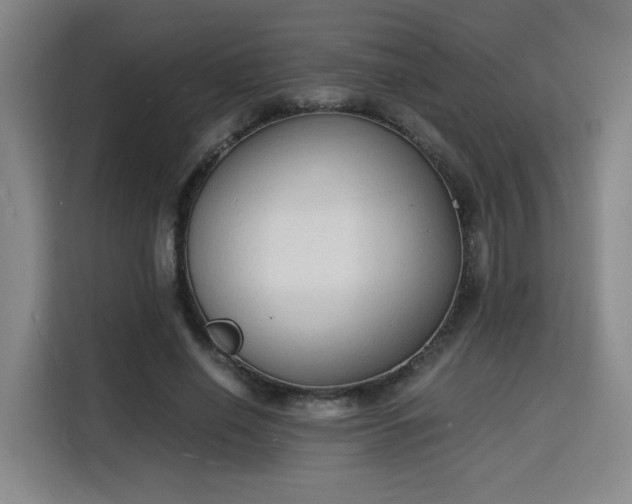 X0000115840638200911201553