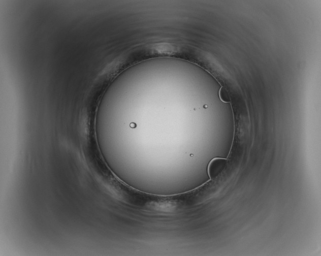 X0000115840639200911201553
