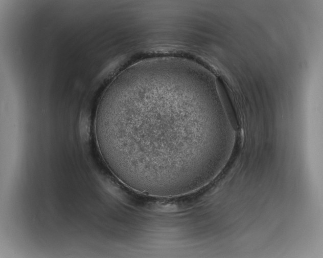 X0000115840640200911201553
