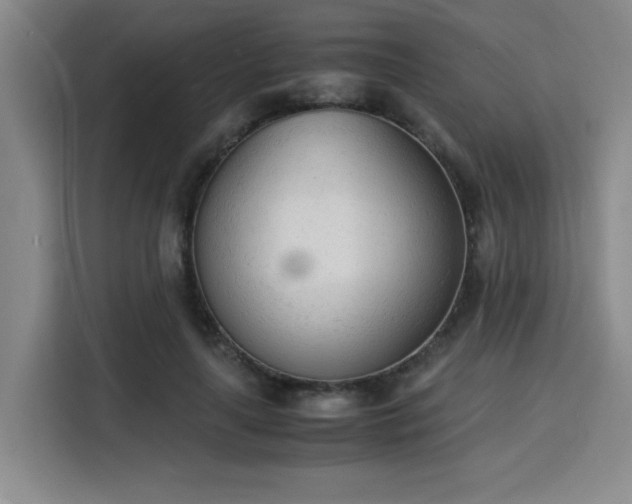 X0000115840643200911201553