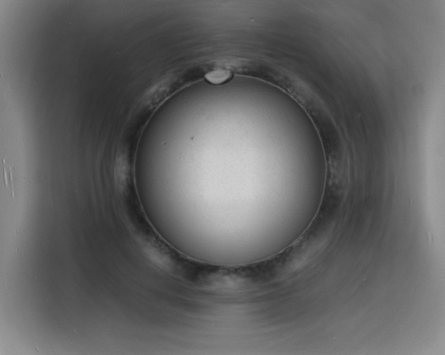 X0000115840648200911201553