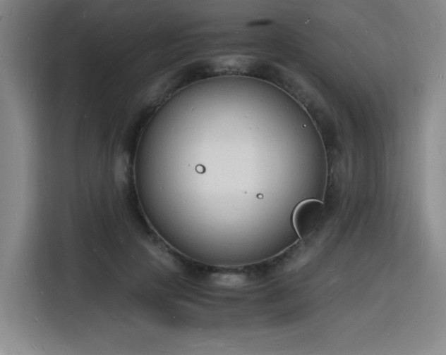 X0000115840649200911201553