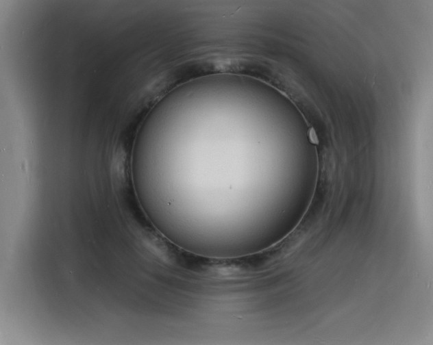 X0000115840650200911201553