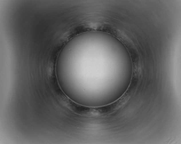 X0000115840656200911201554