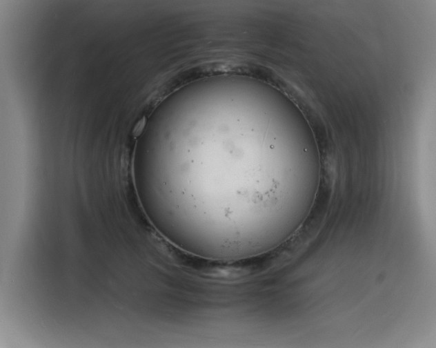 X0000115840657200911201554