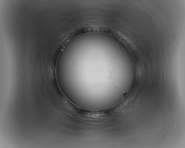 X0000115840661200911201554