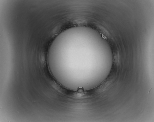 X0000115840662200911201554