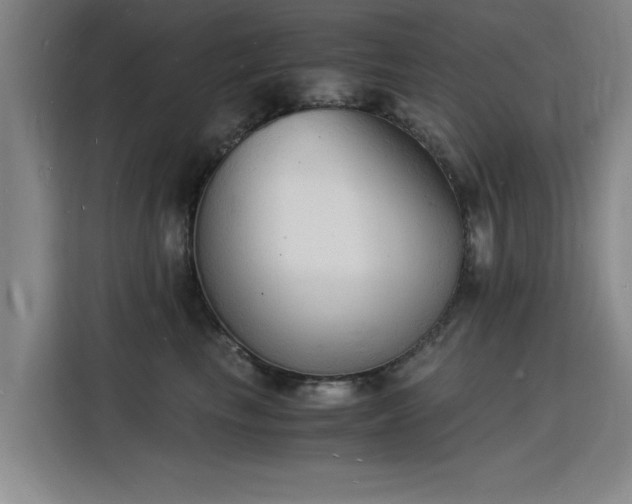 X0000115840665200911201554