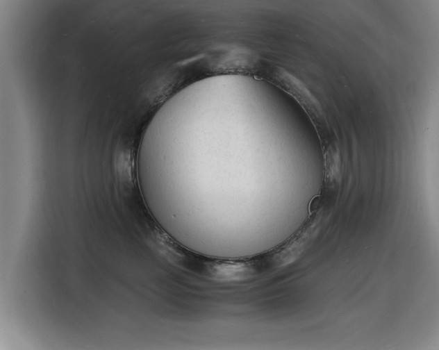 X0000115840669200911201554