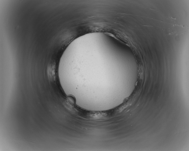 X0000115840670200911201554