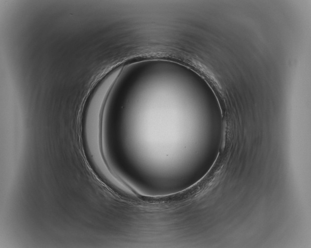 X0000115840673200911201553